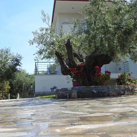 Sandra's Luxury شقة *